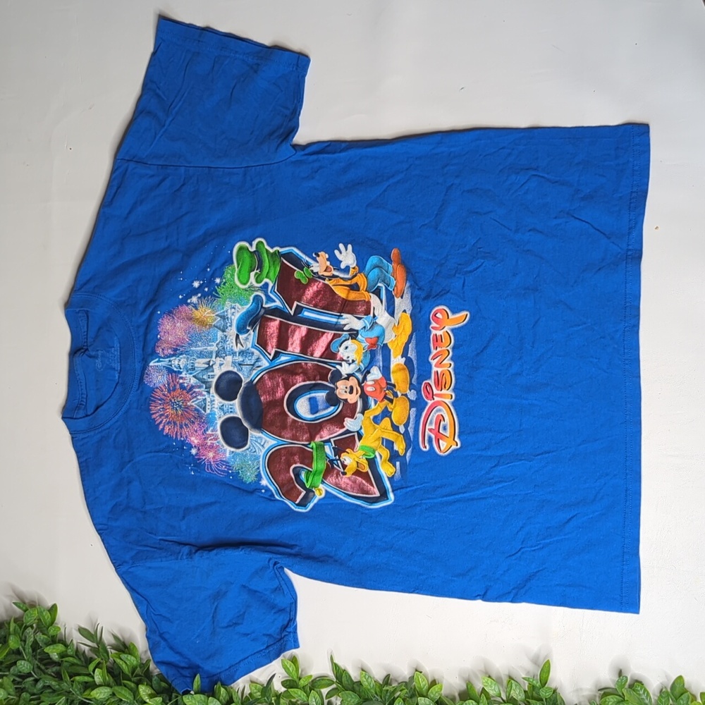 Disney 2011 t shirt Mickey and friends blue size large
